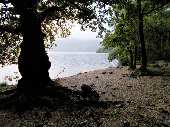 Klicke auf die Grafik für eine vergrößerte Ansicht  Name: 2022-07-25 West Highland Way 042.jpg Ansichten: 0 Größe: 4,97 MB ID: 3195469