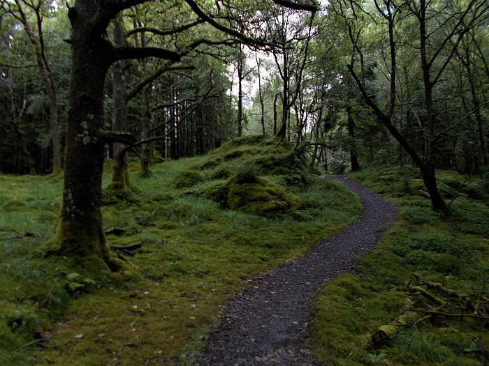 Klicke auf die Grafik für eine vergrößerte Ansicht  Name: 2022-07-25 West Highland Way 047.jpg Ansichten: 0 Größe: 4,48 MB ID: 3195470