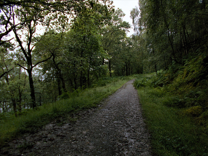 Klicke auf die Grafik für eine vergrößerte Ansicht  Name: 2022-07-25 West Highland Way 056.jpg Ansichten: 0 Größe: 4,72 MB ID: 3195472