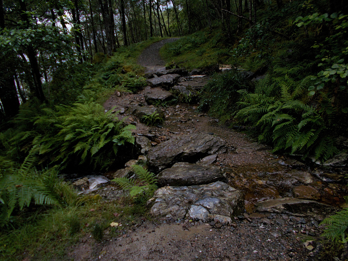 Klicke auf die Grafik für eine vergrößerte Ansicht  Name: 2022-07-25 West Highland Way 059.jpg Ansichten: 0 Größe: 4,23 MB ID: 3195474