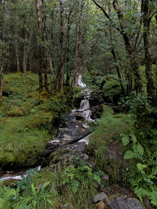 Klicke auf die Grafik für eine vergrößerte Ansicht  Name: 2022-07-25 West Highland Way 061.jpg Ansichten: 0 Größe: 5,06 MB ID: 3195475