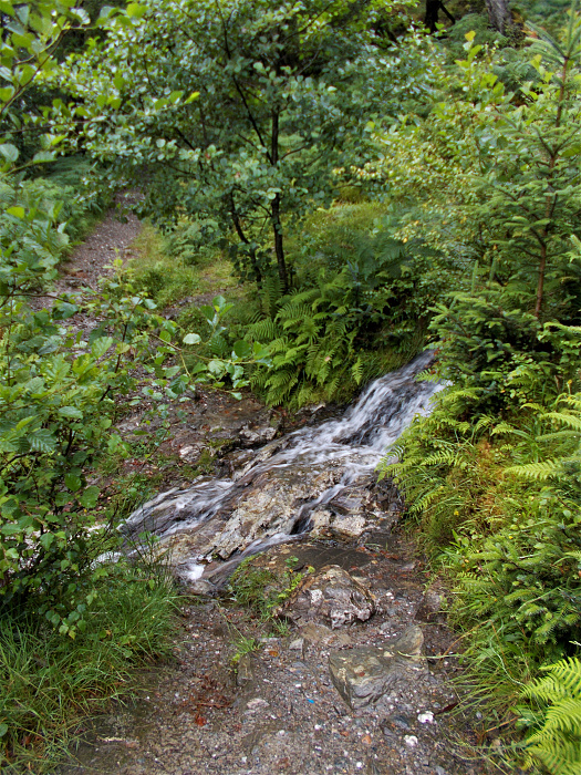 Klicke auf die Grafik für eine vergrößerte Ansicht  Name: 2022-07-25 West Highland Way 064.jpg Ansichten: 0 Größe: 5,53 MB ID: 3195476