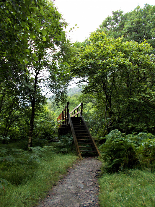 Klicke auf die Grafik für eine vergrößerte Ansicht  Name: 2022-07-25 West Highland Way 068.jpg Ansichten: 0 Größe: 4,95 MB ID: 3195478