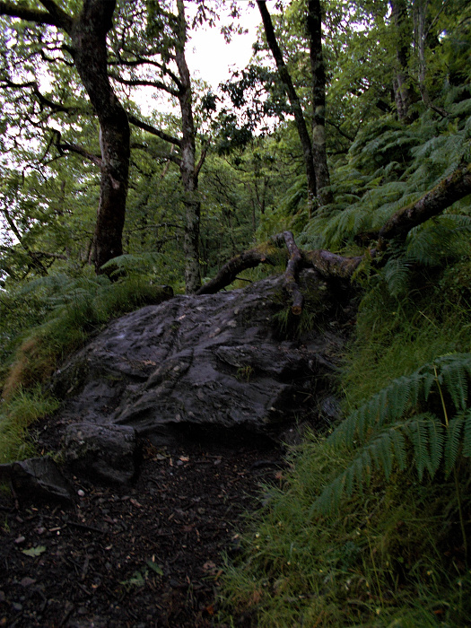 Klicke auf die Grafik für eine vergrößerte Ansicht  Name: 2022-07-25 West Highland Way 075.jpg Ansichten: 0 Größe: 4,27 MB ID: 3195481