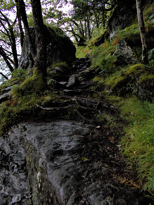 Klicke auf die Grafik für eine vergrößerte Ansicht  Name: 2022-07-25 West Highland Way 082.jpg Ansichten: 0 Größe: 5,01 MB ID: 3195484
