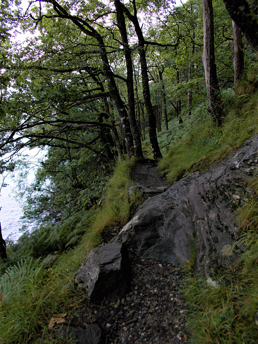 Klicke auf die Grafik für eine vergrößerte Ansicht  Name: 2022-07-25 West Highland Way 083.jpg Ansichten: 0 Größe: 5,16 MB ID: 3195485