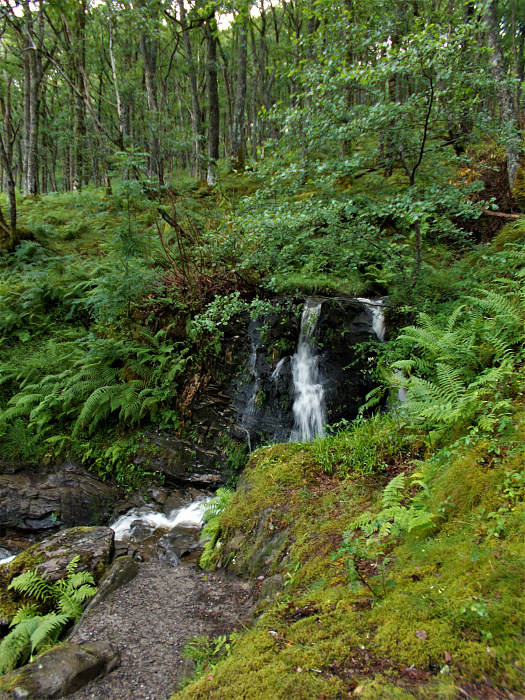 Klicke auf die Grafik für eine vergrößerte Ansicht  Name: 2022-07-25 West Highland Way 085.jpg Ansichten: 0 Größe: 5,26 MB ID: 3195486