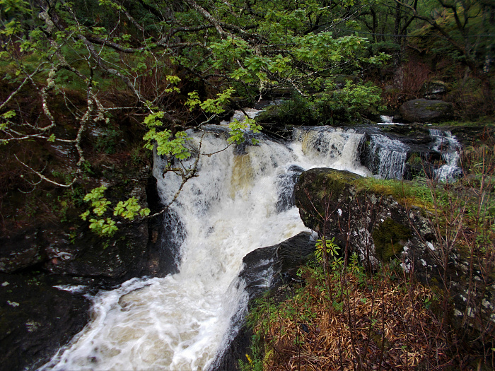 Klicke auf die Grafik für eine vergrößerte Ansicht  Name: 2022-07-25 West Highland Way 094.jpg Ansichten: 0 Größe: 4,71 MB ID: 3195489