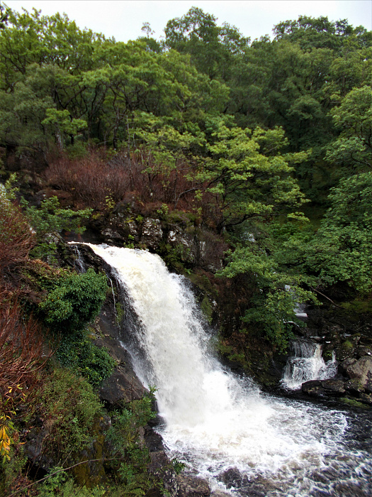 Klicke auf die Grafik für eine vergrößerte Ansicht  Name: 2022-07-25 West Highland Way 097.jpg Ansichten: 0 Größe: 4,53 MB ID: 3195491