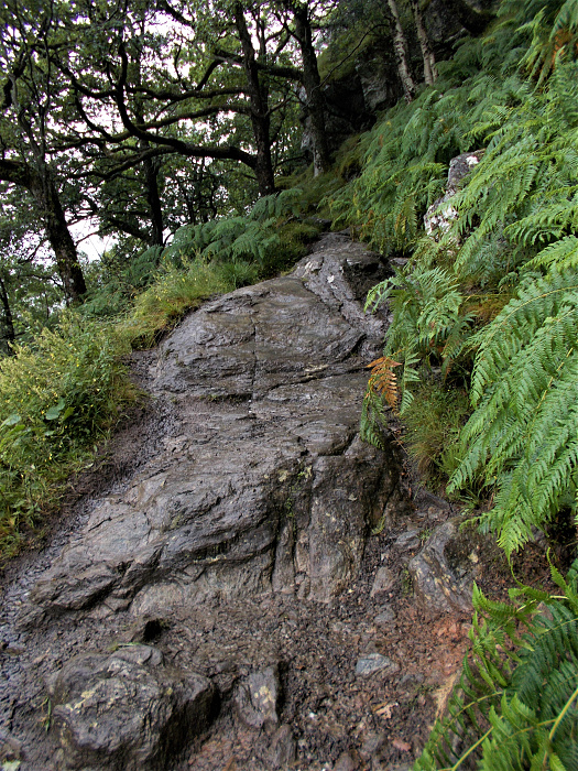 Klicke auf die Grafik für eine vergrößerte Ansicht  Name: 2022-07-25 West Highland Way 103.jpg Ansichten: 0 Größe: 5,51 MB ID: 3195493
