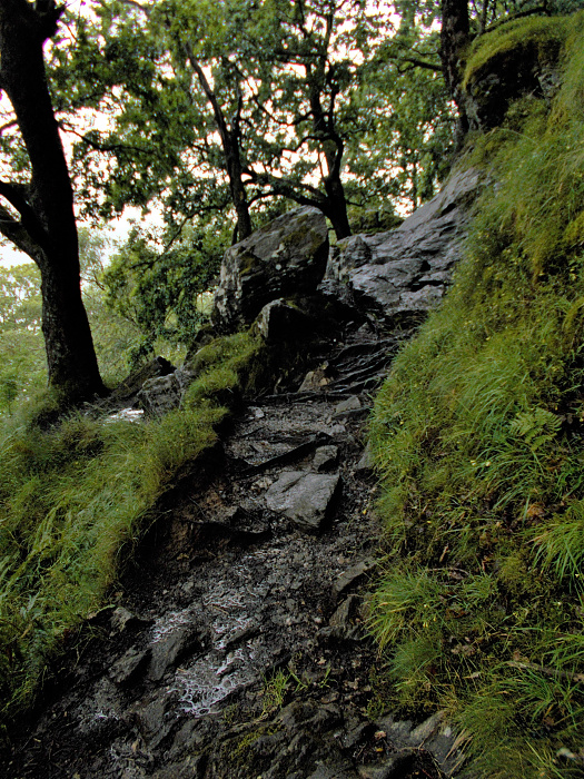 Klicke auf die Grafik für eine vergrößerte Ansicht  Name: 2022-07-25 West Highland Way 104.jpg Ansichten: 0 Größe: 5,38 MB ID: 3195494