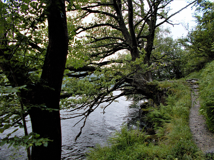 Klicke auf die Grafik für eine vergrößerte Ansicht  Name: 2022-07-25 West Highland Way 111.jpg Ansichten: 0 Größe: 5,31 MB ID: 3195503