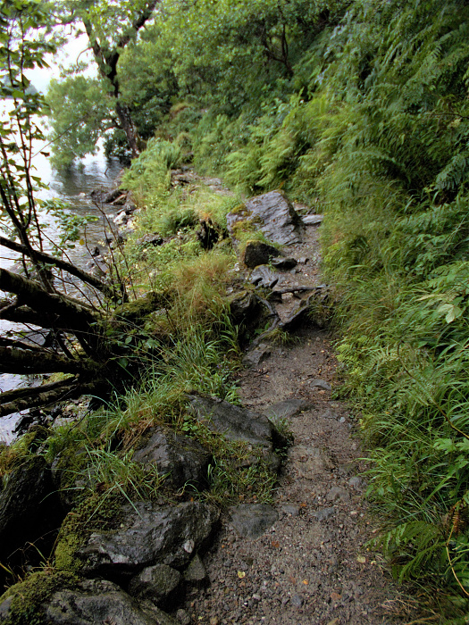 Klicke auf die Grafik für eine vergrößerte Ansicht  Name: 2022-07-25 West Highland Way 118.jpg Ansichten: 0 Größe: 5,12 MB ID: 3195506