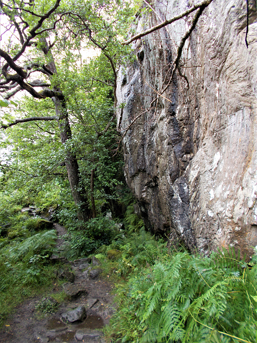 Klicke auf die Grafik für eine vergrößerte Ansicht  Name: 2022-07-25 West Highland Way 120.jpg Ansichten: 0 Größe: 5,79 MB ID: 3195508