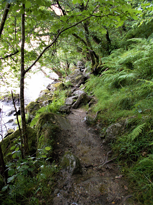 Klicke auf die Grafik für eine vergrößerte Ansicht  Name: 2022-07-25 West Highland Way 122.jpg Ansichten: 0 Größe: 5,71 MB ID: 3195510