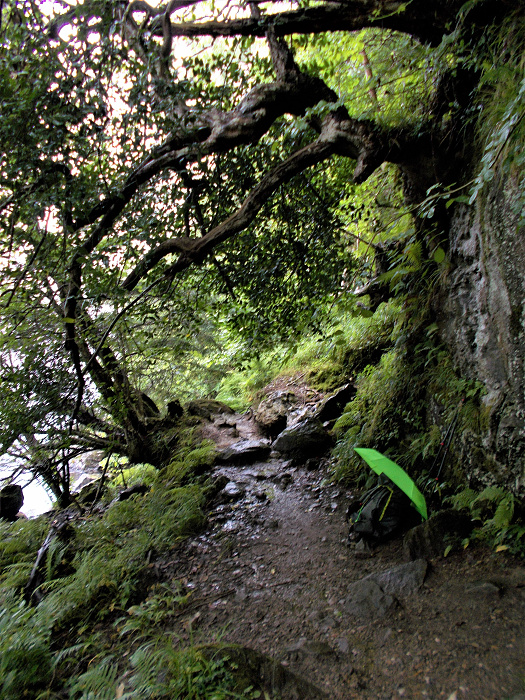 Klicke auf die Grafik für eine vergrößerte Ansicht  Name: 2022-07-25 West Highland Way 124.jpg Ansichten: 0 Größe: 5,36 MB ID: 3195511