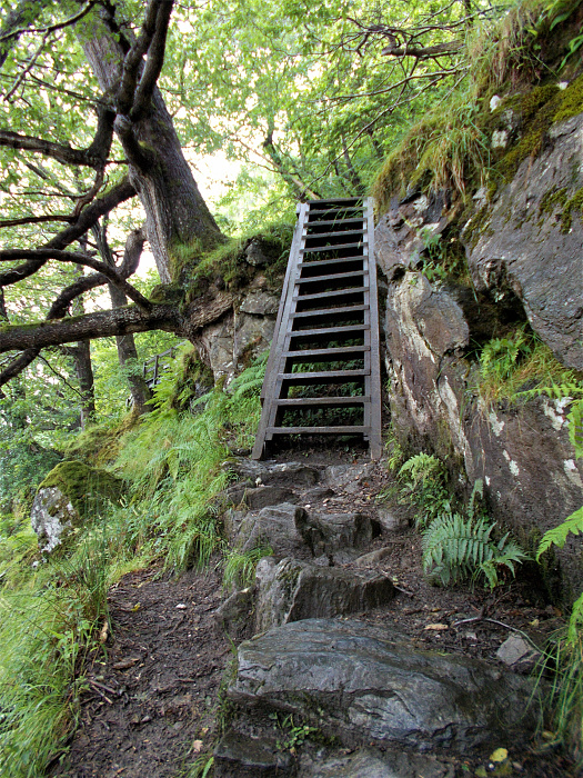 Klicke auf die Grafik für eine vergrößerte Ansicht  Name: 2022-07-25 West Highland Way 126.jpg Ansichten: 0 Größe: 5,93 MB ID: 3195513
