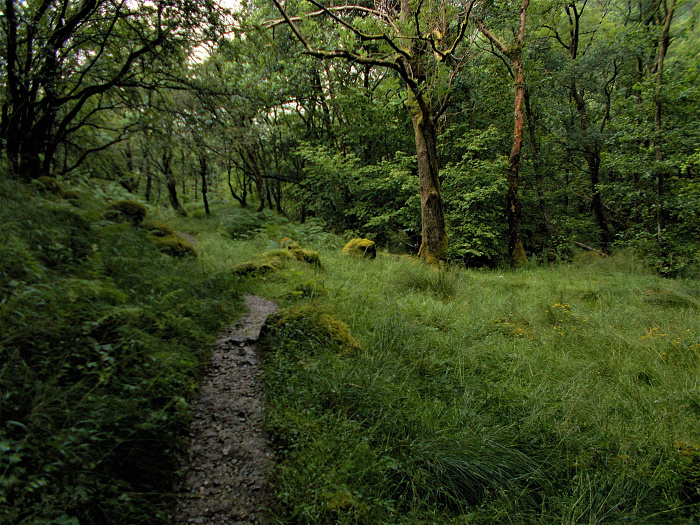 Klicke auf die Grafik für eine vergrößerte Ansicht  Name: 2022-07-25 West Highland Way 129.jpg Ansichten: 0 Größe: 5,09 MB ID: 3195515