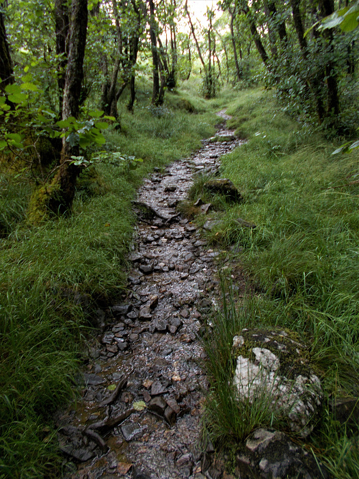 Klicke auf die Grafik für eine vergrößerte Ansicht  Name: 2022-07-25 West Highland Way 130.jpg Ansichten: 0 Größe: 4,86 MB ID: 3195516
