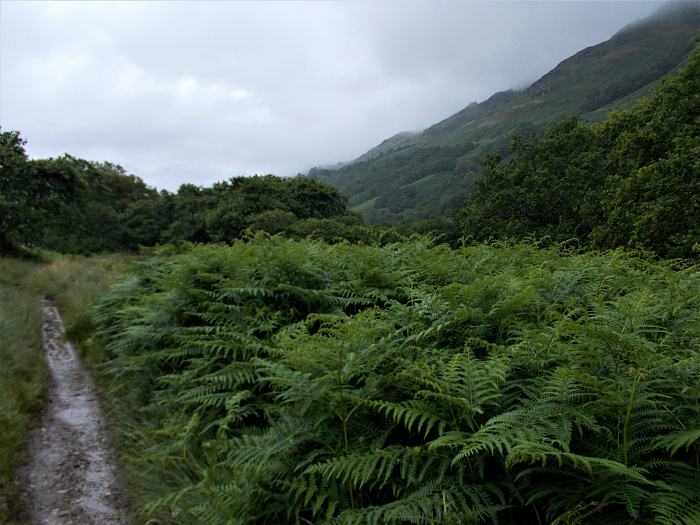 Klicke auf die Grafik für eine vergrößerte Ansicht  Name: 2022-07-25 West Highland Way 131.jpg Ansichten: 0 Größe: 3,81 MB ID: 3195517
