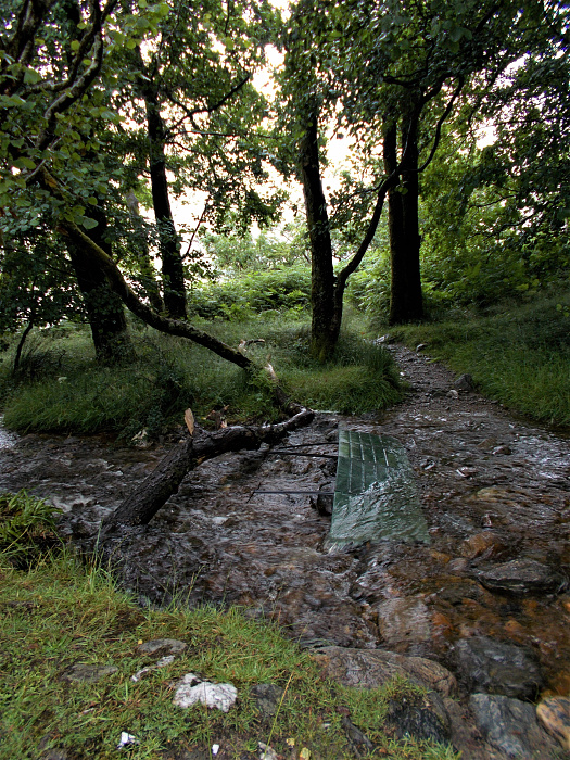 Klicke auf die Grafik für eine vergrößerte Ansicht  Name: 2022-07-25 West Highland Way 136.jpg Ansichten: 0 Größe: 5,39 MB ID: 3195519