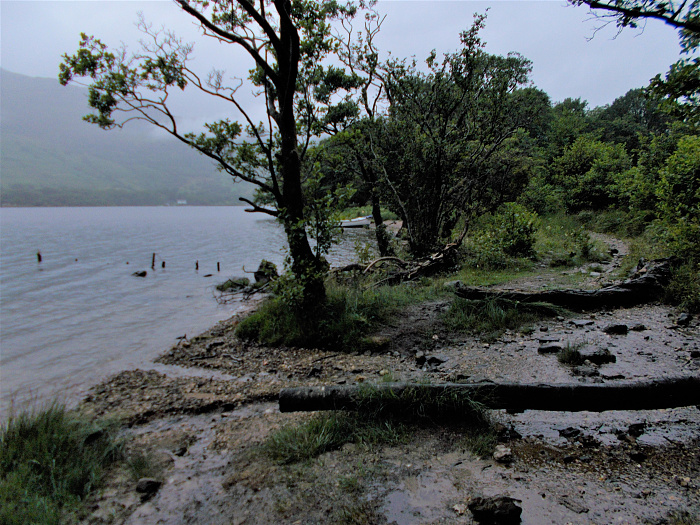 Klicke auf die Grafik für eine vergrößerte Ansicht  Name: 2022-07-25 West Highland Way 137.jpg Ansichten: 0 Größe: 4,49 MB ID: 3195520