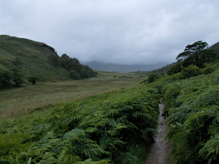 Klicke auf die Grafik für eine vergrößerte Ansicht  Name: 2022-07-25 West Highland Way 149.jpg Ansichten: 0 Größe: 3,65 MB ID: 3195524