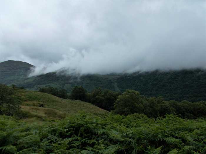 Klicke auf die Grafik für eine vergrößerte Ansicht  Name: 2022-07-25 West Highland Way 153.jpg Ansichten: 0 Größe: 3,33 MB ID: 3195526