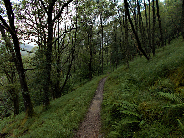 Klicke auf die Grafik für eine vergrößerte Ansicht  Name: 2022-07-25 West Highland Way 156.jpg Ansichten: 0 Größe: 5,05 MB ID: 3195527