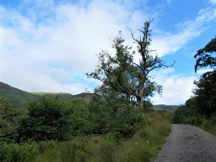 Klicke auf die Grafik für eine vergrößerte Ansicht  Name: 2022-07-27 West Highland Way 006.jpg Ansichten: 0 Größe: 4,02 MB ID: 3195971