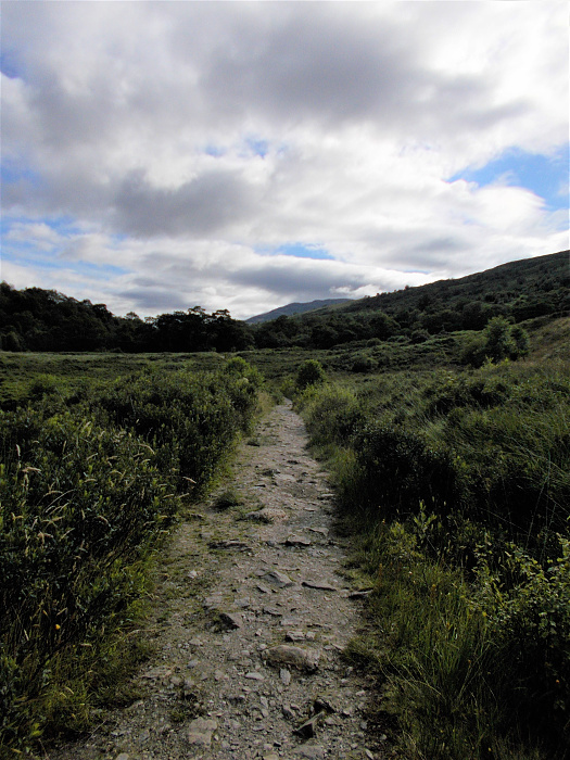 Klicke auf die Grafik für eine vergrößerte Ansicht  Name: 2022-07-27 West Highland Way 011.jpg Ansichten: 0 Größe: 4,12 MB ID: 3195973