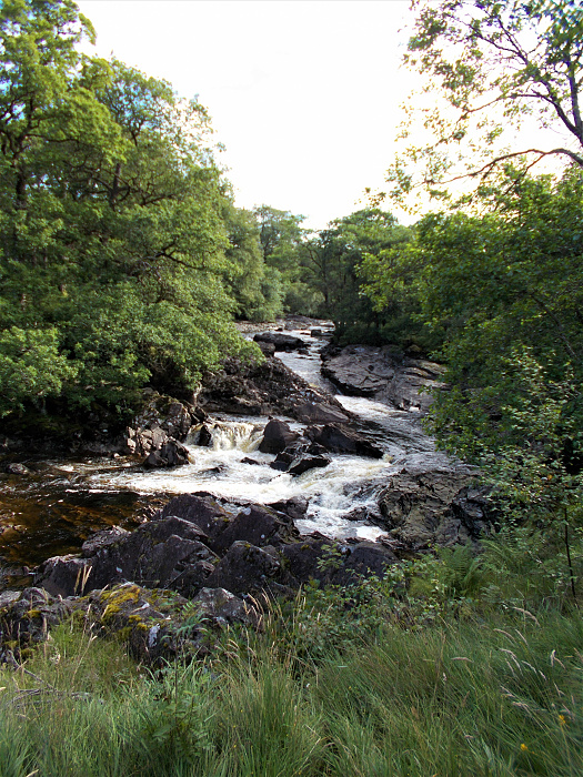 Klicke auf die Grafik für eine vergrößerte Ansicht  Name: 2022-07-27 West Highland Way 017.jpg Ansichten: 0 Größe: 5,08 MB ID: 3195974