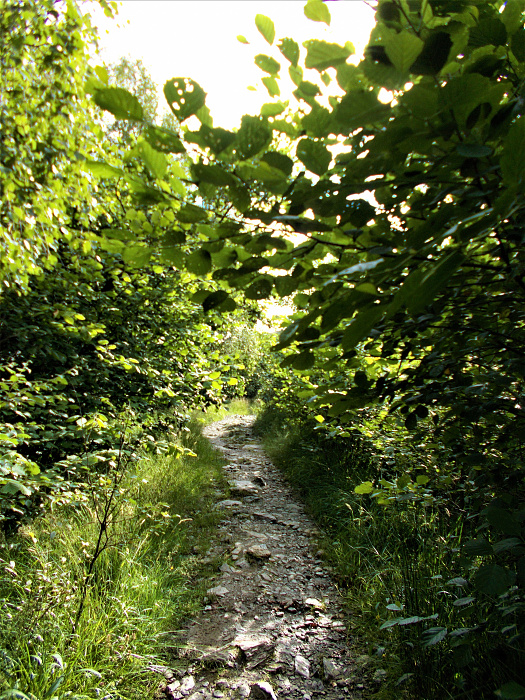 Klicke auf die Grafik für eine vergrößerte Ansicht  Name: 2022-07-27 West Highland Way 022.jpg Ansichten: 0 Größe: 5,41 MB ID: 3195975