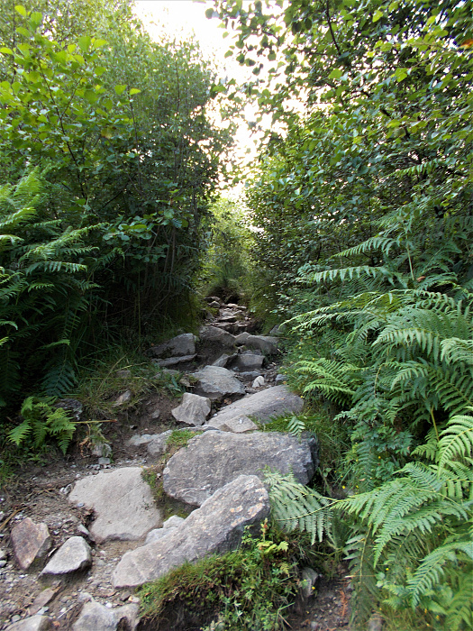 Klicke auf die Grafik für eine vergrößerte Ansicht  Name: 2022-07-27 West Highland Way 024.jpg Ansichten: 0 Größe: 5,34 MB ID: 3195976