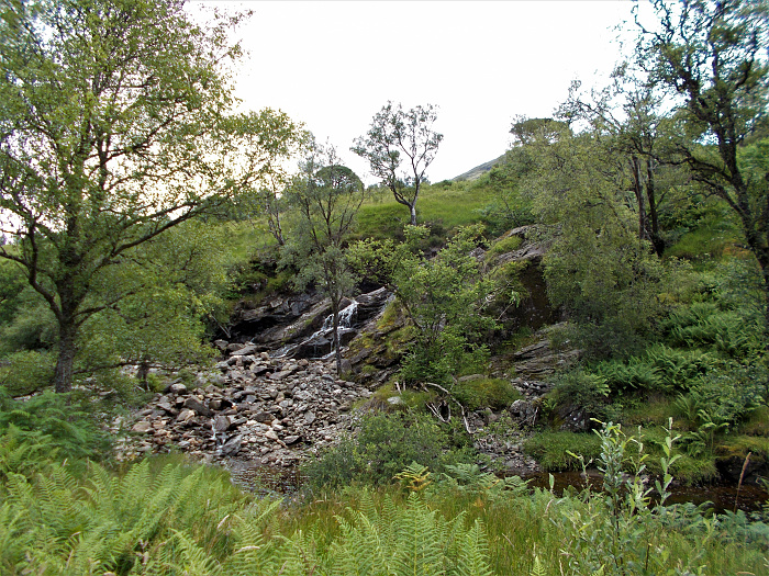 Klicke auf die Grafik für eine vergrößerte Ansicht  Name: 2022-07-27 West Highland Way 036.jpg Ansichten: 0 Größe: 5,74 MB ID: 3195980