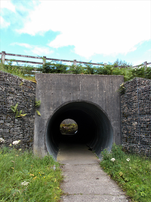Klicke auf die Grafik für eine vergrößerte Ansicht  Name: 2022-07-27 West Highland Way 048.jpg Ansichten: 0 Größe: 4,12 MB ID: 3195984