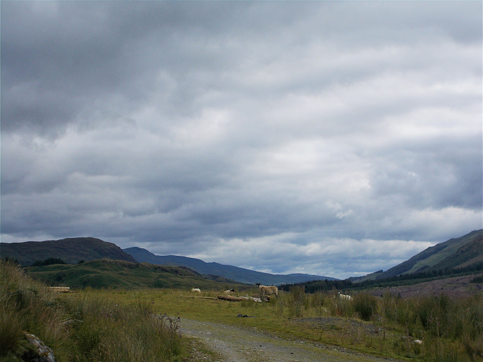 Klicke auf die Grafik für eine vergrößerte Ansicht  Name: 2022-07-27 West Highland Way 049.jpg Ansichten: 0 Größe: 3,40 MB ID: 3195985