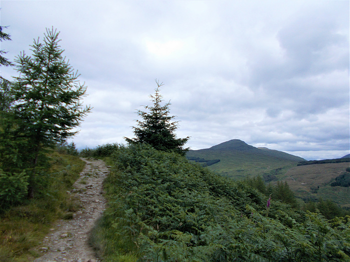 Klicke auf die Grafik für eine vergrößerte Ansicht  Name: 2022-07-27 West Highland Way 060.jpg Ansichten: 0 Größe: 3,77 MB ID: 3195991