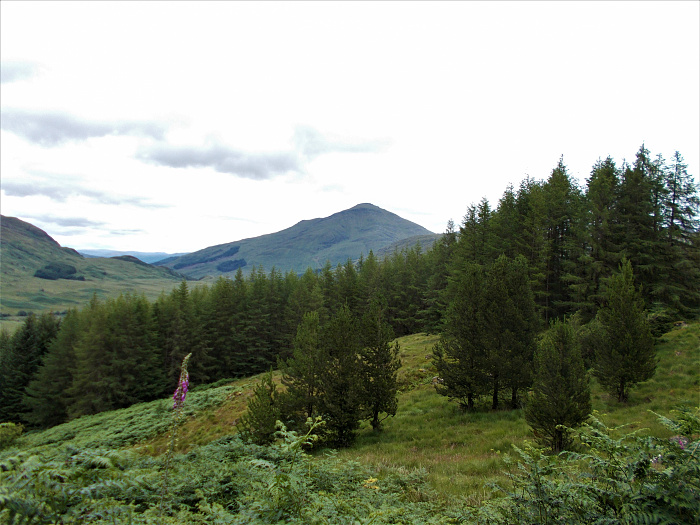 Klicke auf die Grafik für eine vergrößerte Ansicht  Name: 2022-07-27 West Highland Way 061.jpg Ansichten: 0 Größe: 3,32 MB ID: 3195992