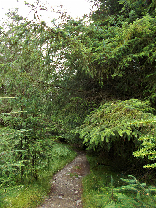 Klicke auf die Grafik für eine vergrößerte Ansicht  Name: 2022-07-27 West Highland Way 065.jpg Ansichten: 0 Größe: 5,27 MB ID: 3195995