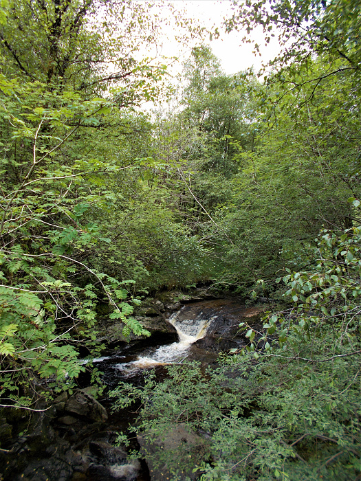 Klicke auf die Grafik für eine vergrößerte Ansicht  Name: 2022-07-27 West Highland Way 070.jpg Ansichten: 0 Größe: 5,95 MB ID: 3195997