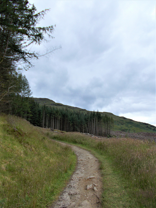 Klicke auf die Grafik für eine vergrößerte Ansicht  Name: 2022-07-27 West Highland Way 085.jpg Ansichten: 0 Größe: 3,70 MB ID: 3196000