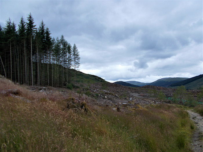Klicke auf die Grafik für eine vergrößerte Ansicht  Name: 2022-07-27 West Highland Way 086.jpg Ansichten: 0 Größe: 3,71 MB ID: 3196001