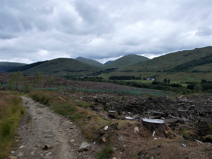 Klicke auf die Grafik für eine vergrößerte Ansicht  Name: 2022-07-27 West Highland Way 087.jpg Ansichten: 0 Größe: 3,53 MB ID: 3196002