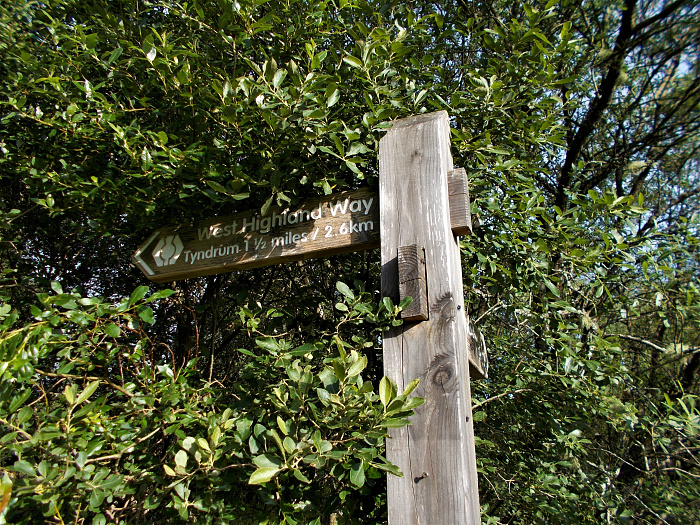 Klicke auf die Grafik für eine vergrößerte Ansicht

Name: 2022-07-28 West Highland Way 014.jpg
Ansichten: 345
Größe: 6,07 MB
ID: 3196563