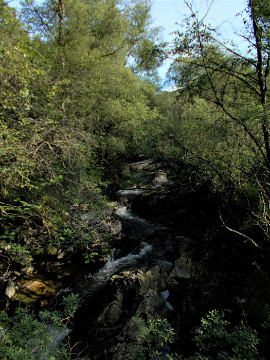 Klicke auf die Grafik für eine vergrößerte Ansicht

Name: 2022-07-28 West Highland Way 025.jpg
Ansichten: 343
Größe: 4,44 MB
ID: 3196565