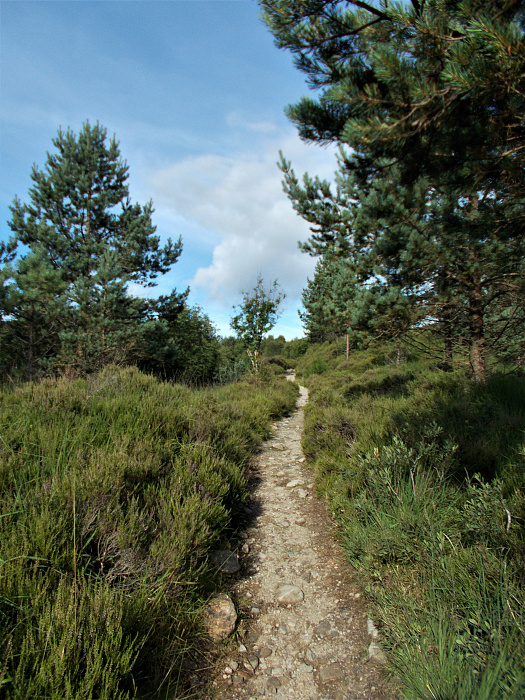 Klicke auf die Grafik für eine vergrößerte Ansicht

Name: 2022-07-28 West Highland Way 034.jpg
Ansichten: 346
Größe: 4,80 MB
ID: 3196567