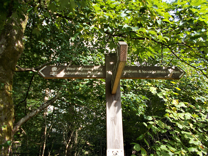 Klicke auf die Grafik für eine vergrößerte Ansicht

Name: 2022-07-28 West Highland Way 051.jpg
Ansichten: 345
Größe: 5,41 MB
ID: 3196570
