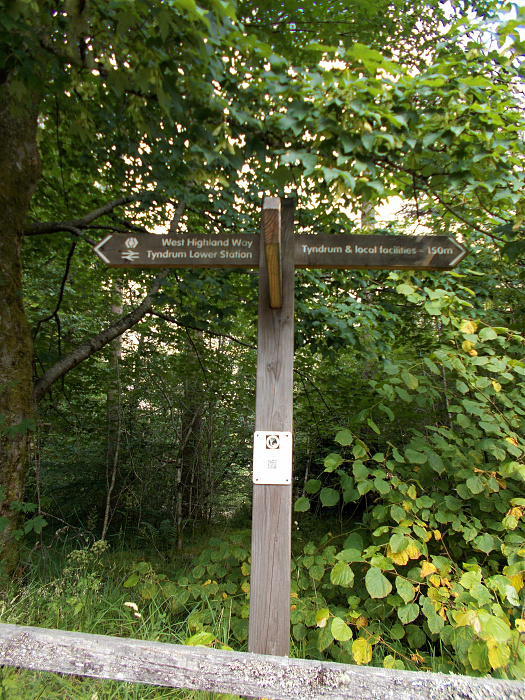 Klicke auf die Grafik für eine vergrößerte Ansicht

Name: 2022-07-28 West Highland Way 071.jpg
Ansichten: 344
Größe: 5,18 MB
ID: 3196574