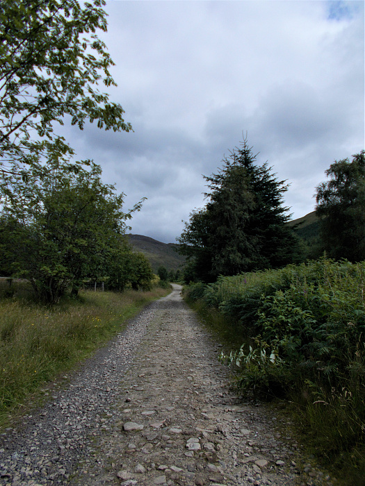 Klicke auf die Grafik für eine vergrößerte Ansicht

Name: 2022-07-28 West Highland Way 081.jpg
Ansichten: 349
Größe: 4,33 MB
ID: 3196579
